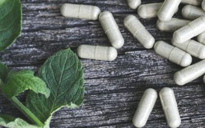 Efficacité des probiotiques dans la perte de poids
